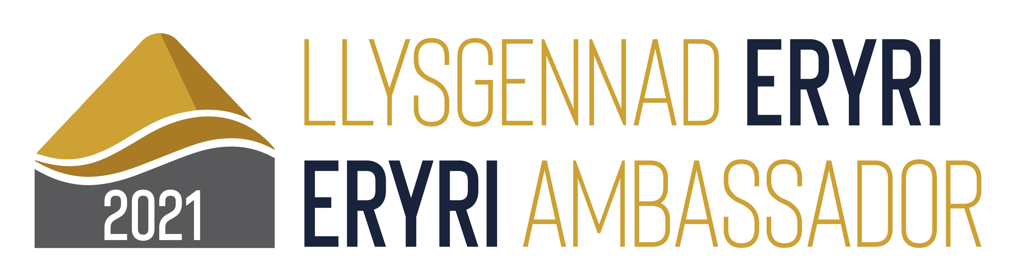 Eyryri Ambassador gold award